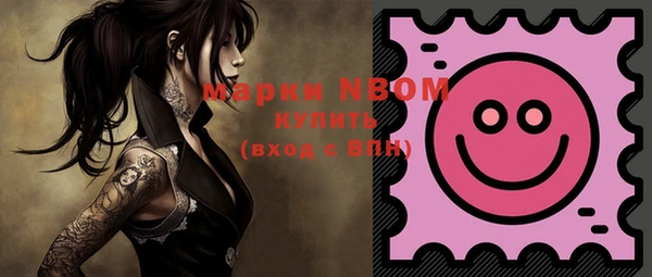 дживик Няндома