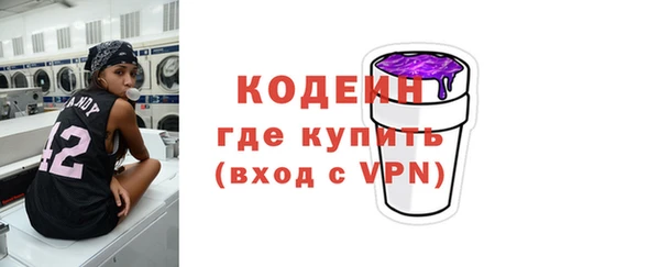 стаф Новозыбков