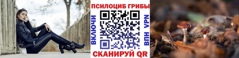 Псилоцибиновые грибы мухоморы  МЕГА сайт  Алексеевка 