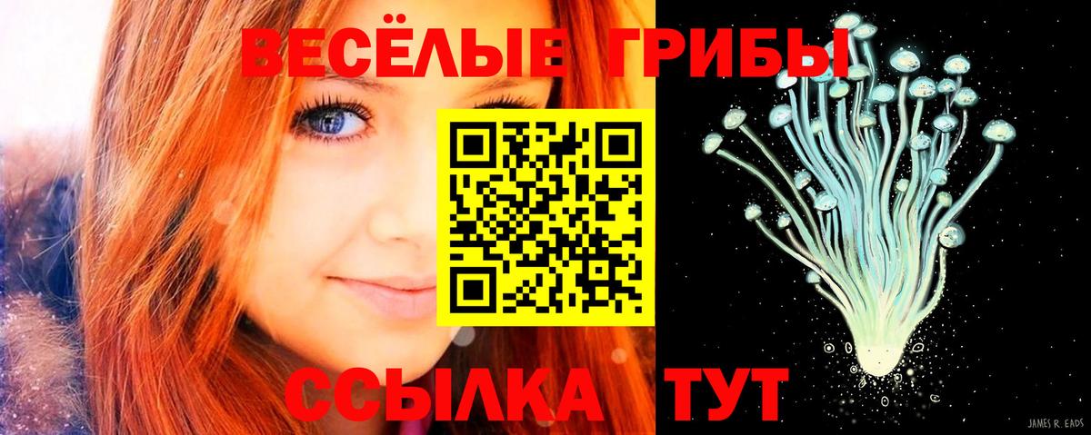 Галлюциногенные грибы мицелий  даркнет сайт  Алексеевка  Вход с VPN 