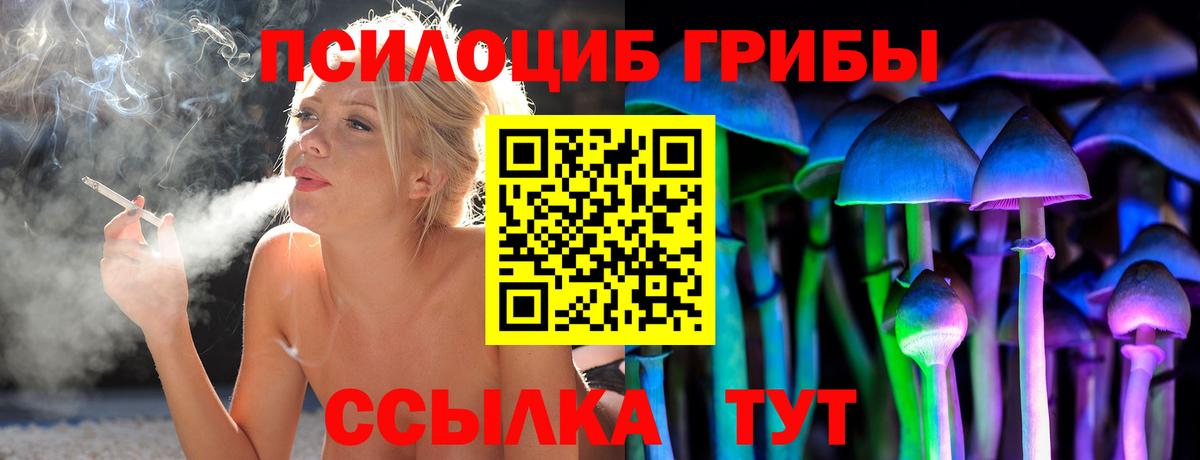 Псилоцибиновые грибы прущие грибы Алексеевка